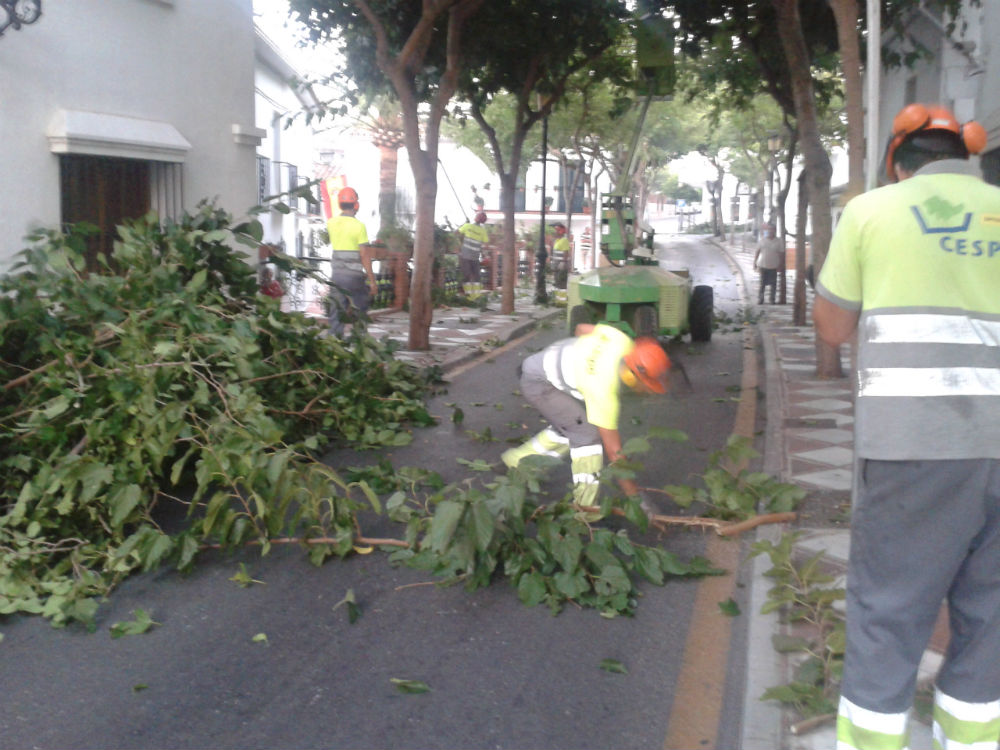 El Consistorio acomete la poda de los árboles de la avenida Juan Luis Peralta